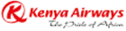 airline logotype